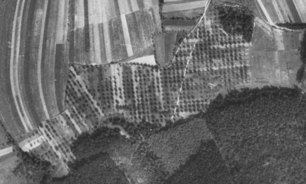 1950 - Letecký snímek