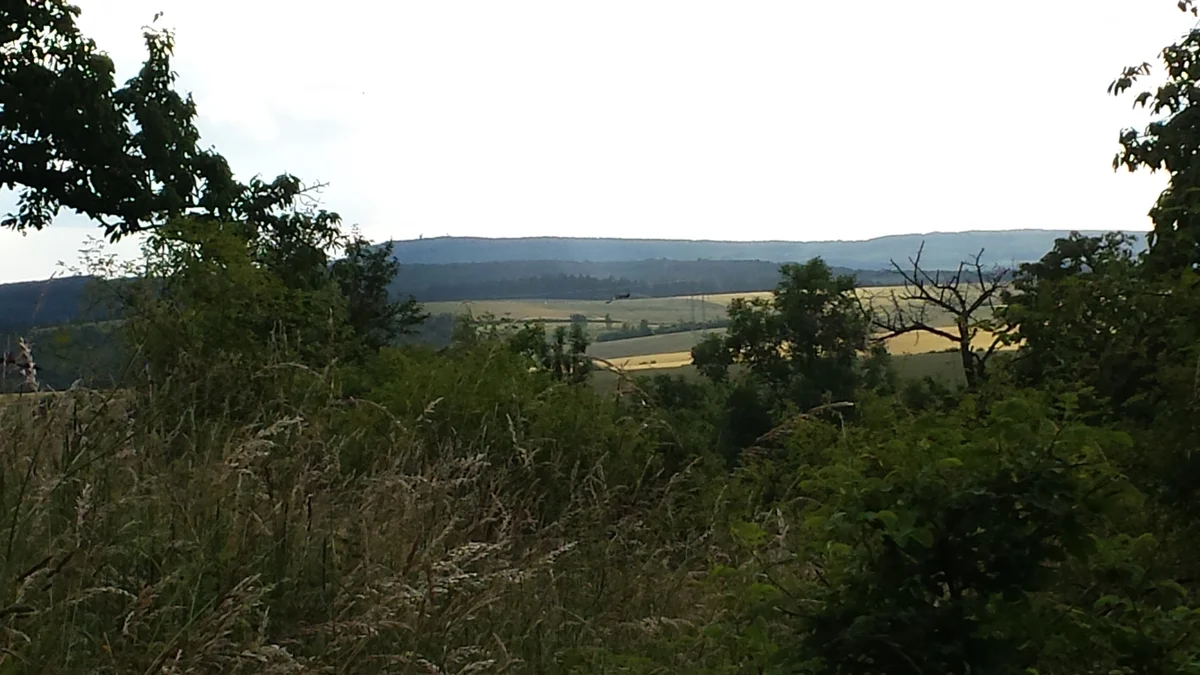 2015 - Původní stav před zahájením obnovy sadu - 12