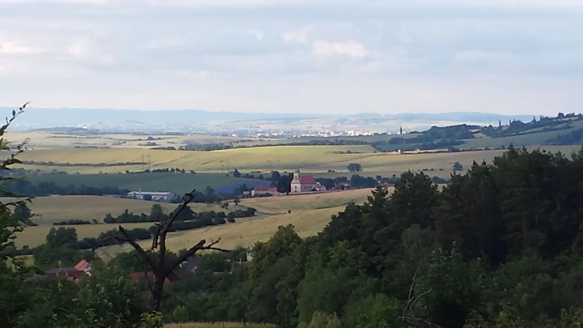 2015 - Původní stav před zahájením obnovy sadu - 11