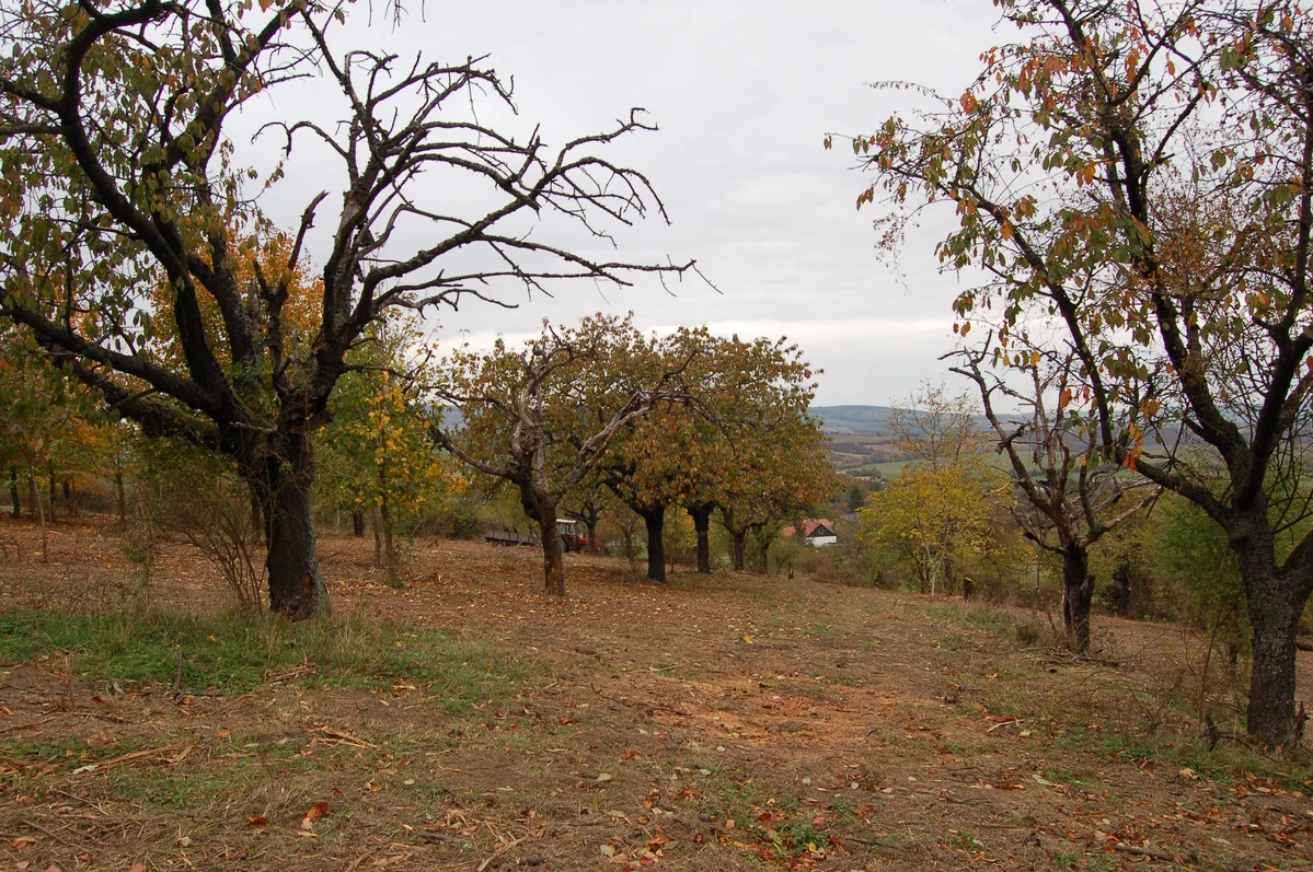 2018 - Září, říjen, listopad - 7