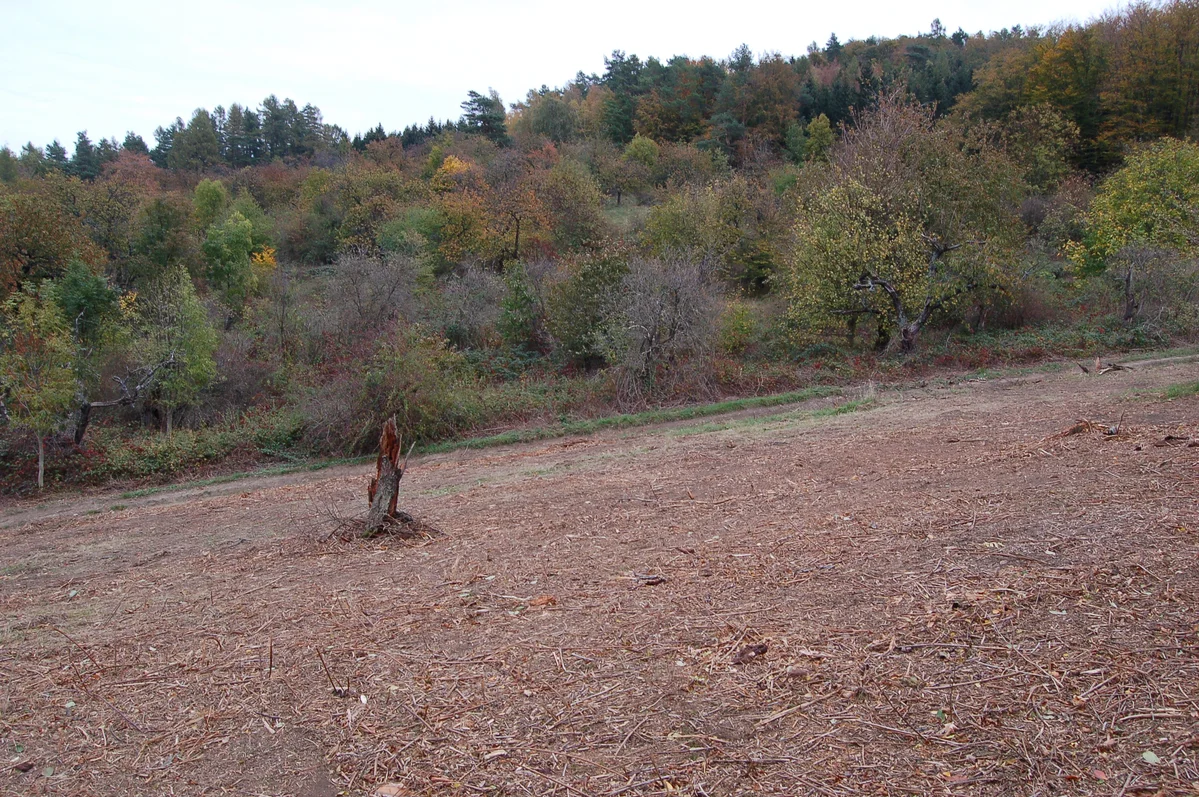 2018 - Září, říjen, listopad - 8