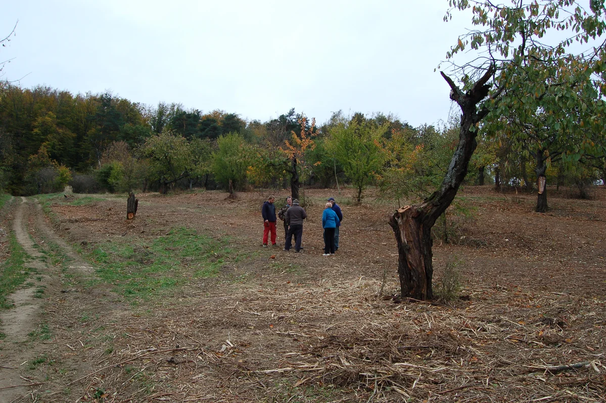 2018 - Září, říjen, listopad - 9
