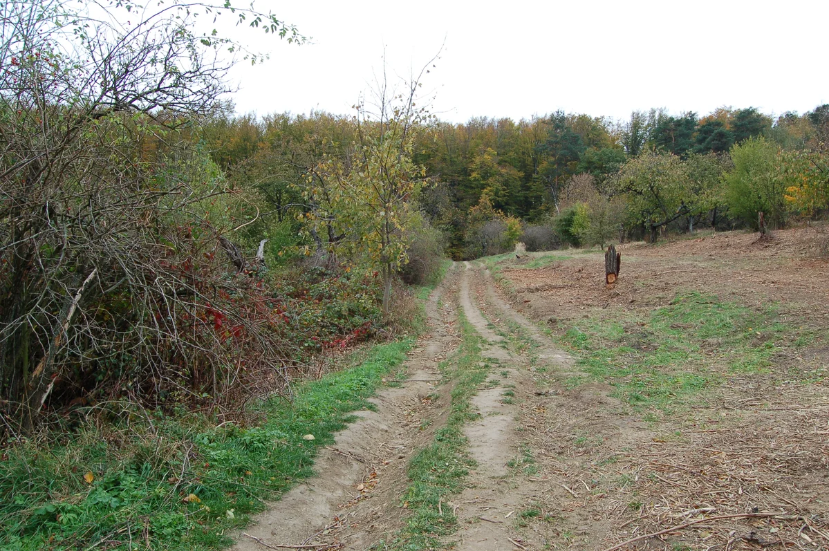 2018 - Září, říjen, listopad - 10