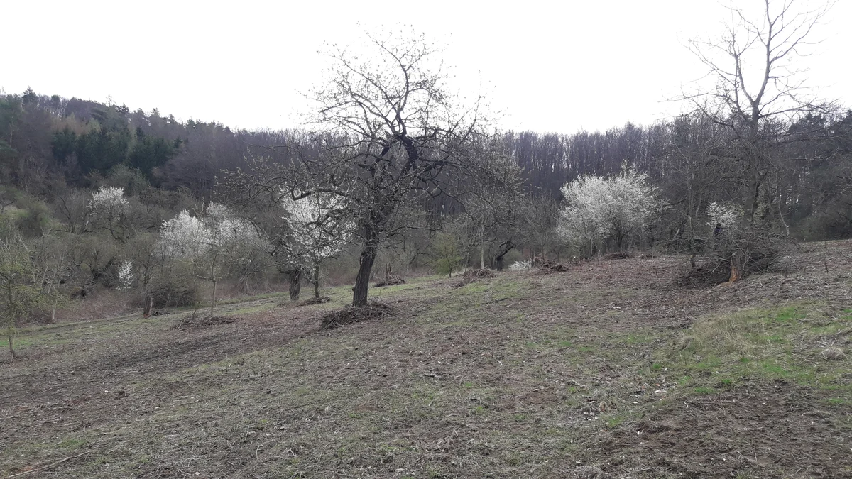 2019 - Březen, duben - 1