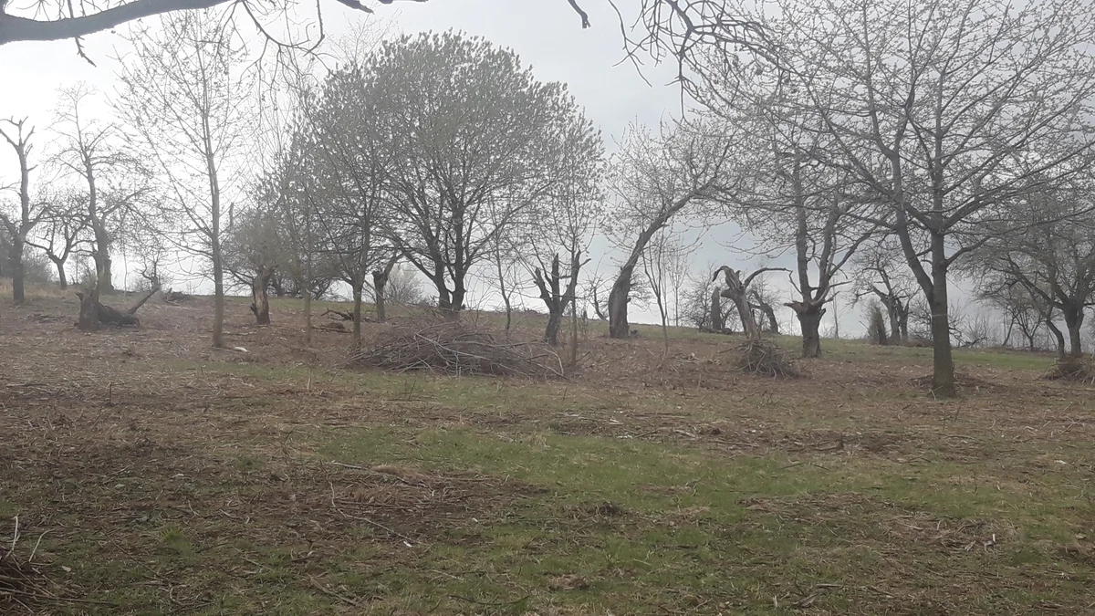 2019 - Březen, duben - 5