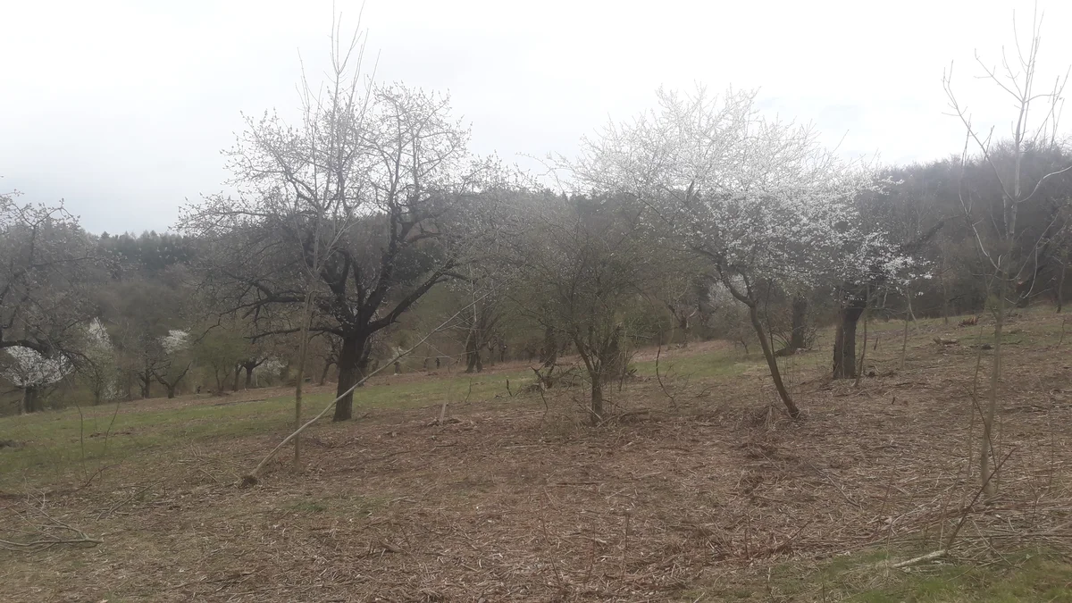 2019 - Březen, duben - 6