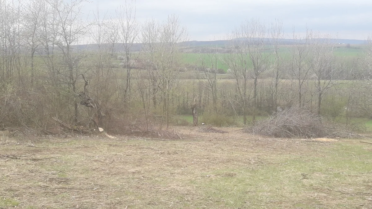 2019 - Březen, duben - 7