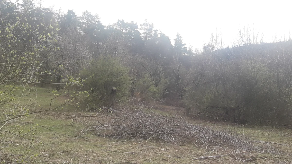 2019 - Březen, duben - 8