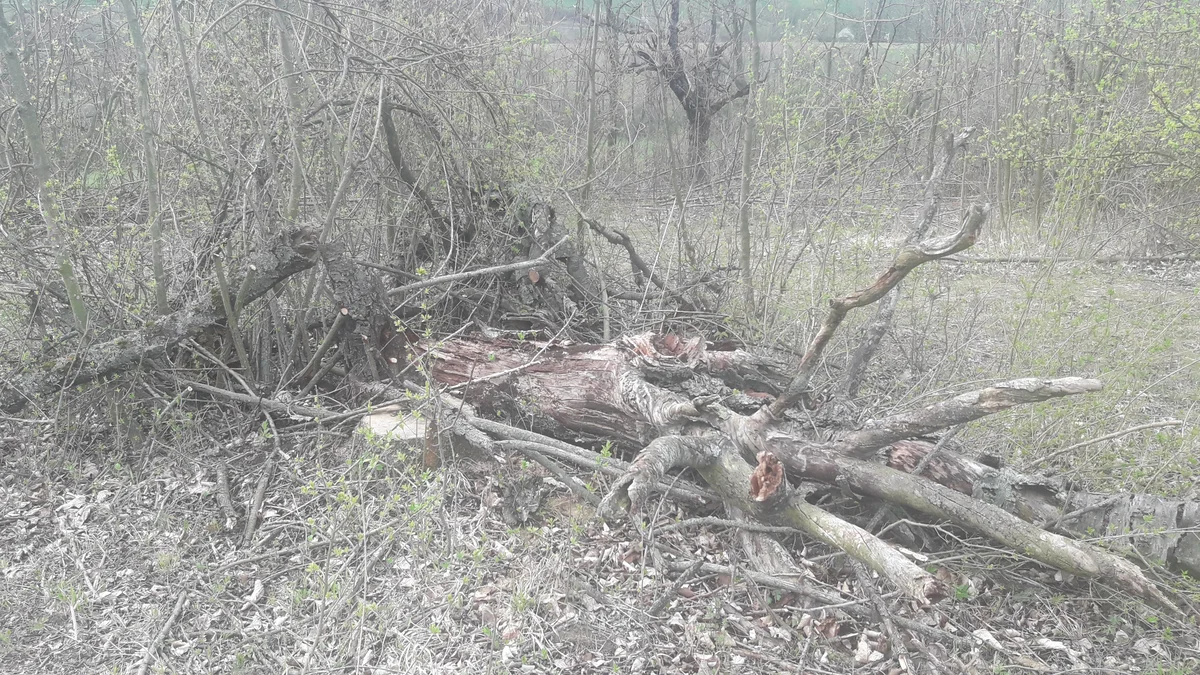 2019 - Březen, duben