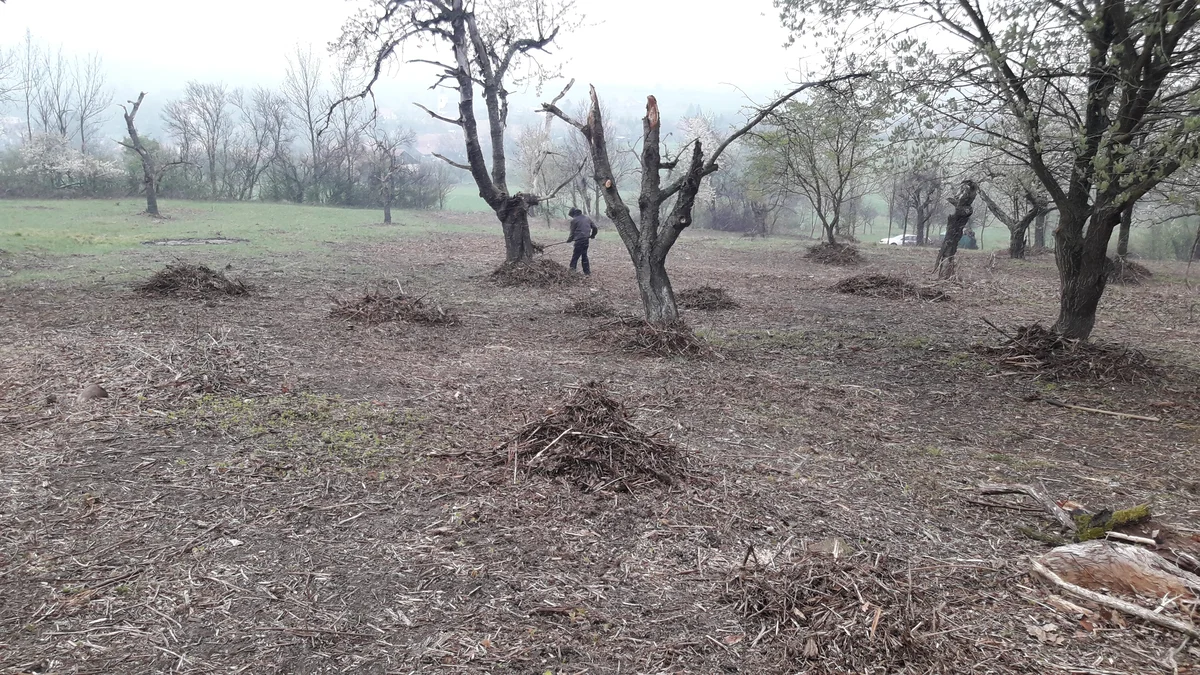 2019 - Březen, duben - 14