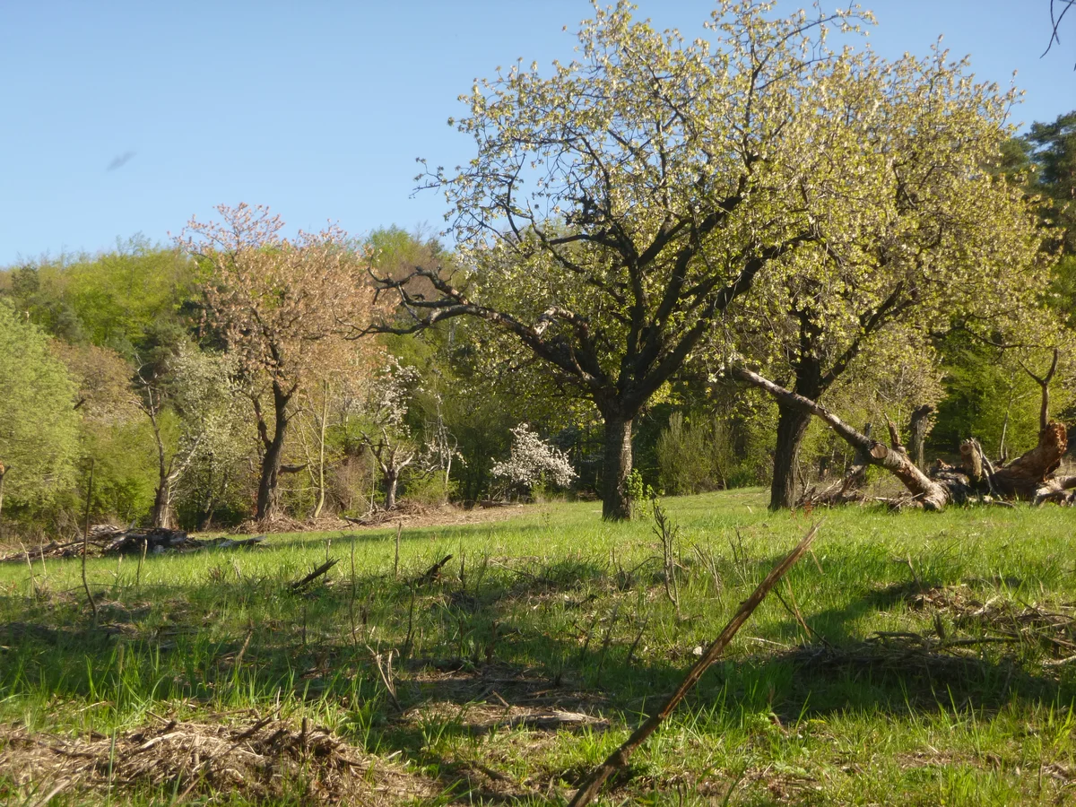 2019 - Březen, duben - 16