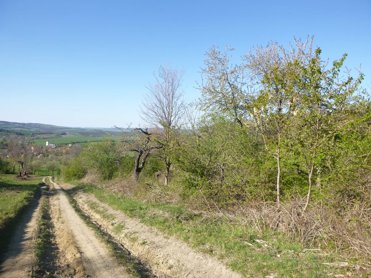 2019 - Březen, duben - 17