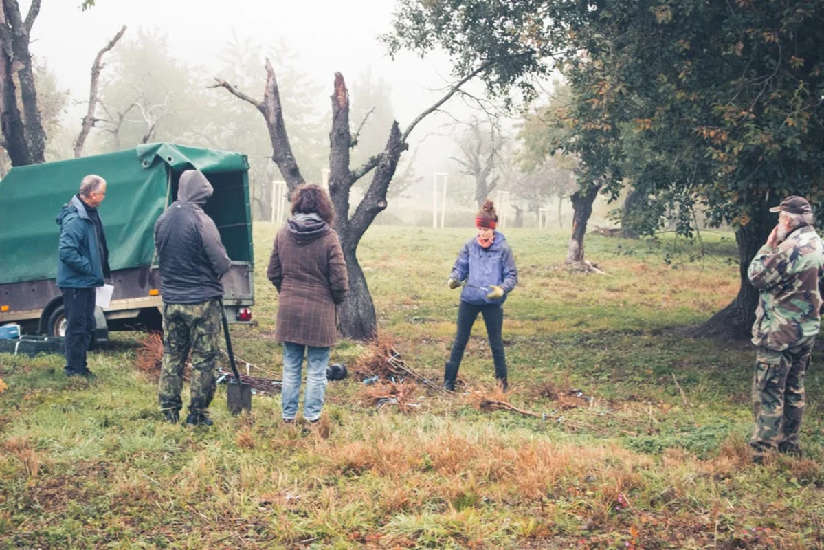 2020 - Říjen - Výsadba - 3