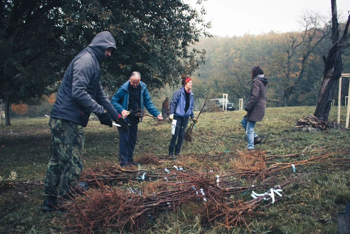 2020 - Říjen - Výsadba - 5