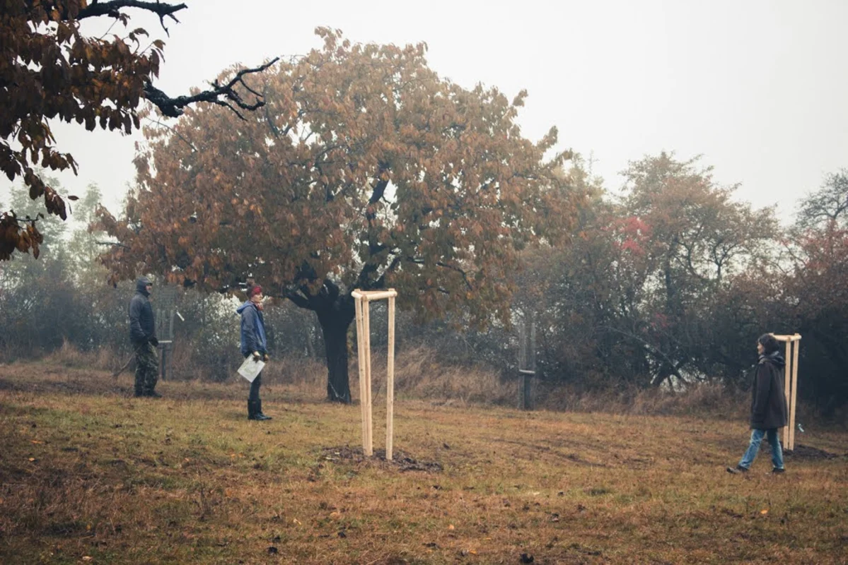 2020 - Říjen - Výsadba - 10