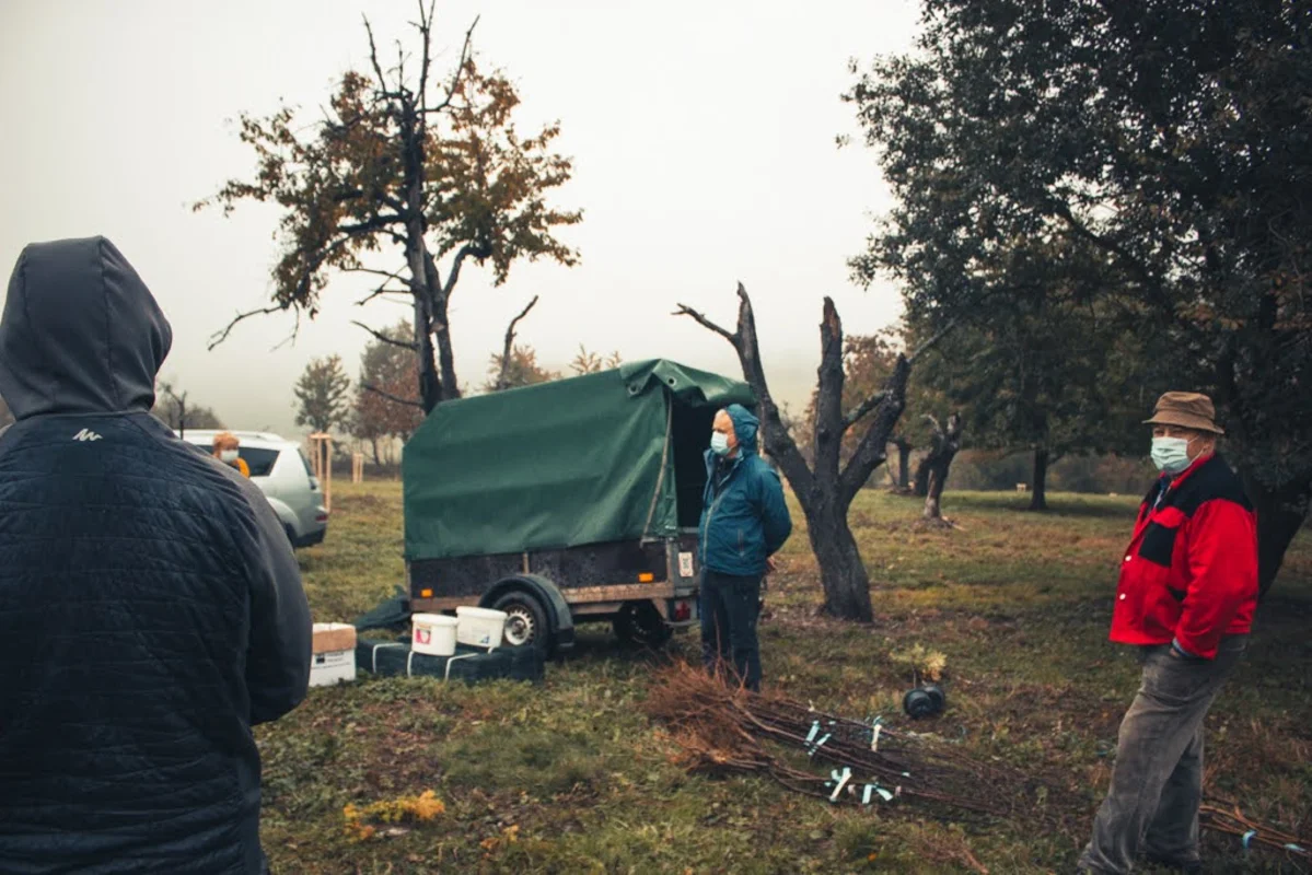 2020 - Říjen - Výsadba - 20