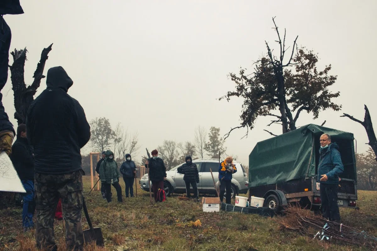 2020 - Říjen - Výsadba - 22