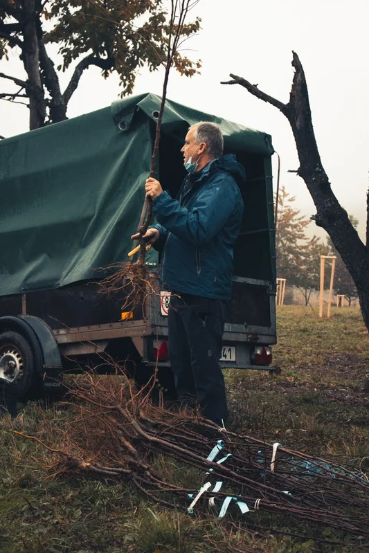 2020 - Říjen - Výsadba