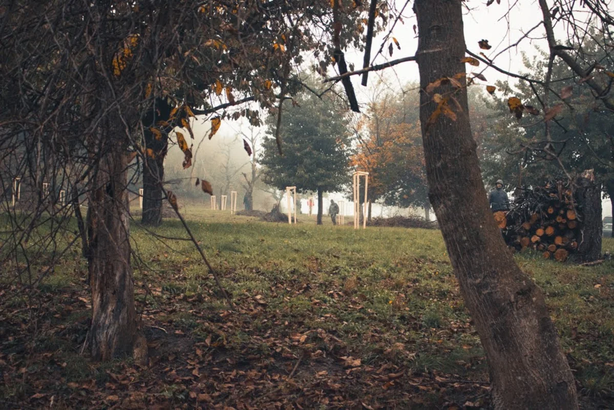 2020 - Říjen - Výsadba - 27