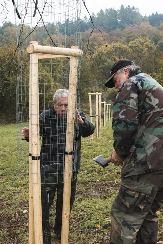 2020 - Říjen - Výsadba - 29