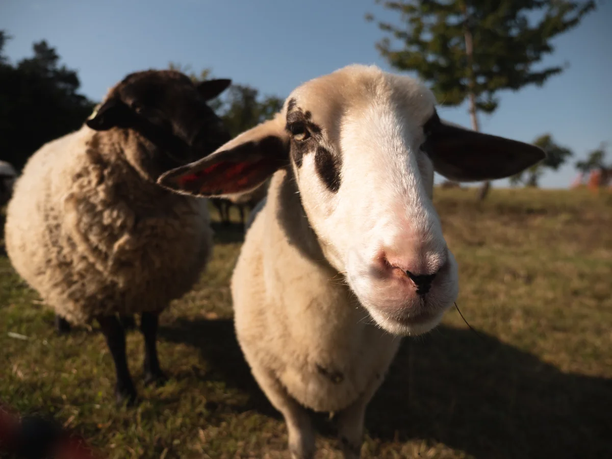 2020 - Září - Vyměřování - 1