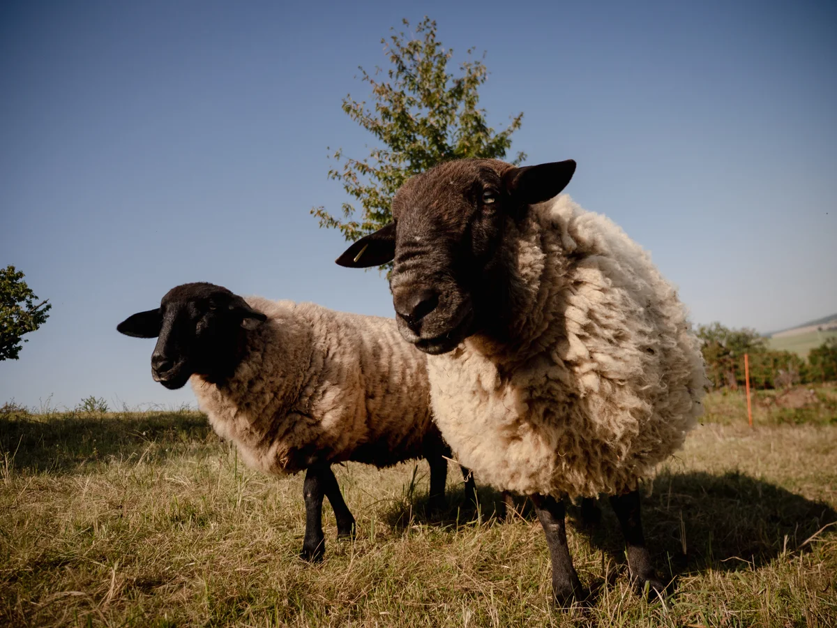 2020 - Září - Vyměřování