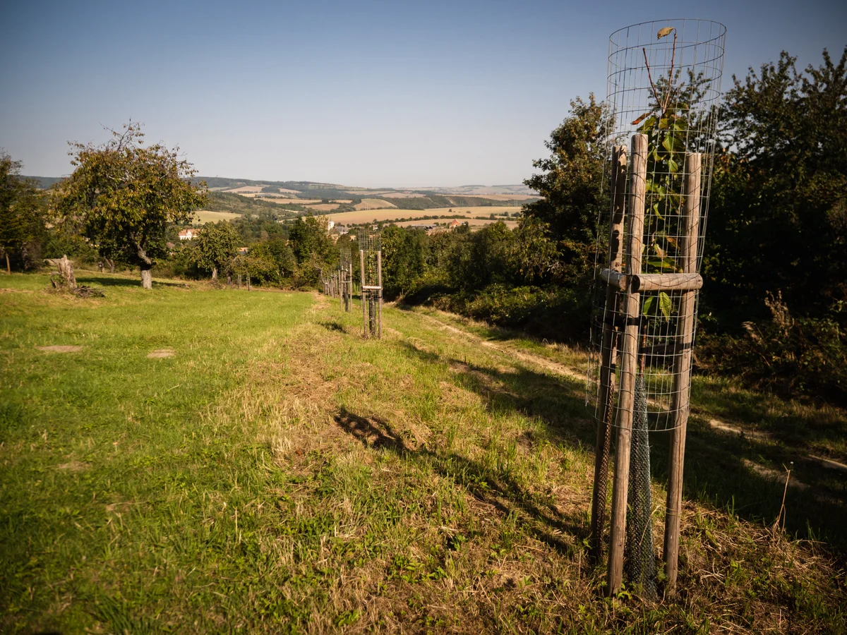 2020 - Září - Vyměřování - 9