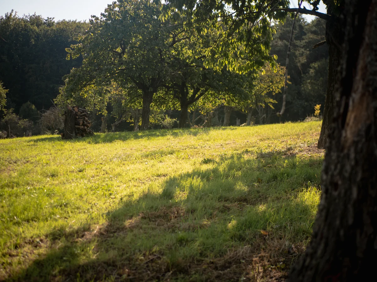 2020 - Září - Vyměřování - 21