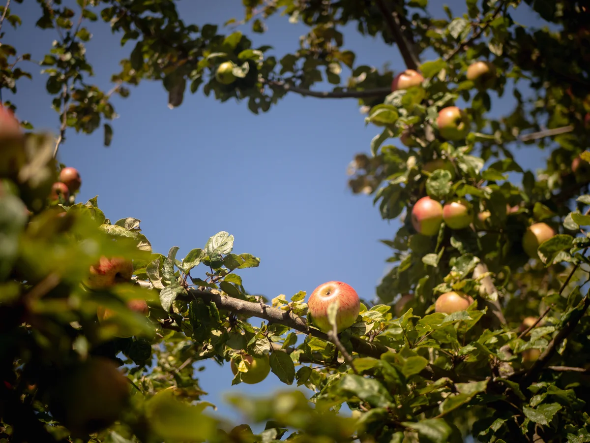 2020 - Září - Vyměřování - 22