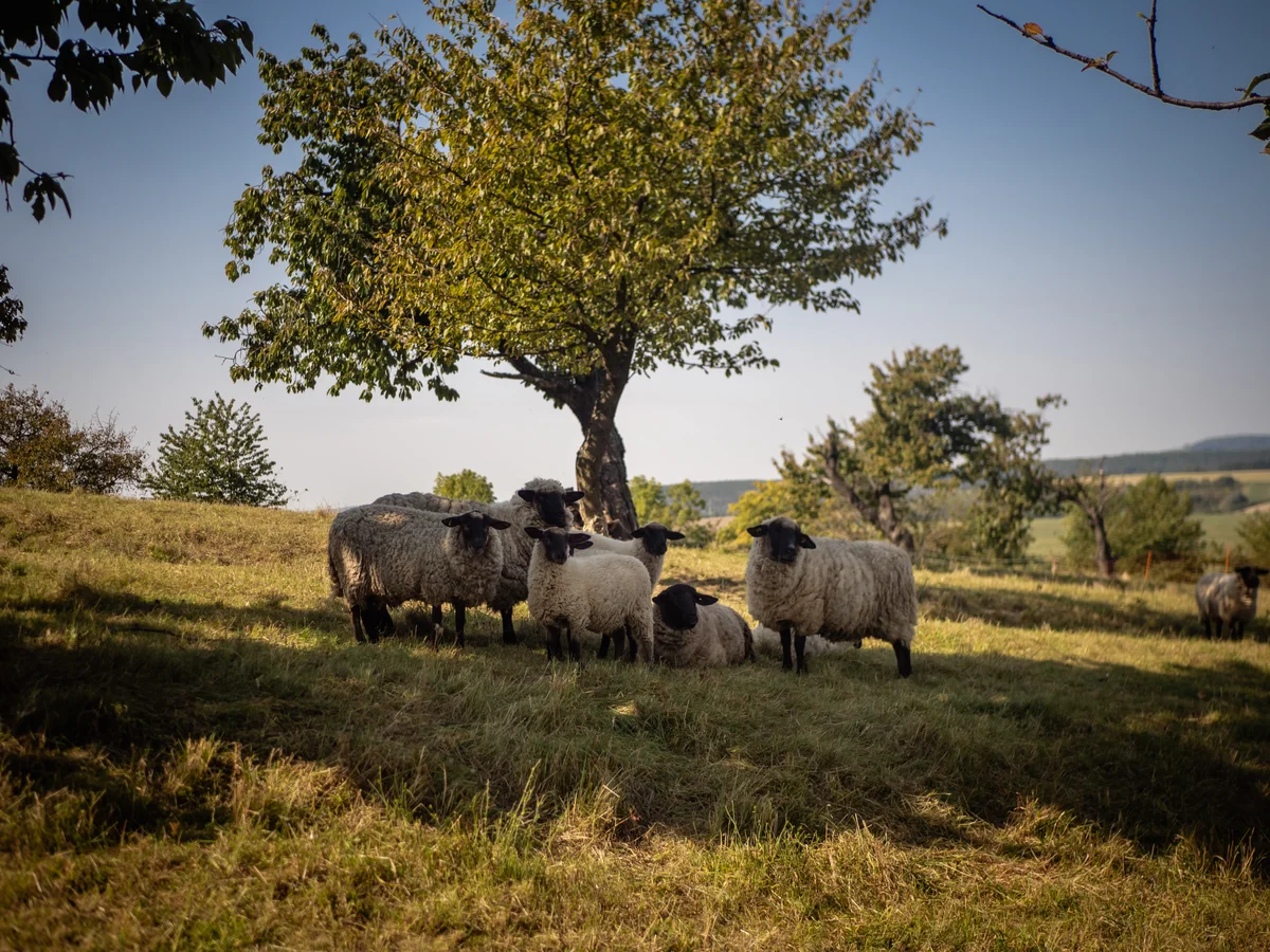 2020 - Září - Vyměřování - 30