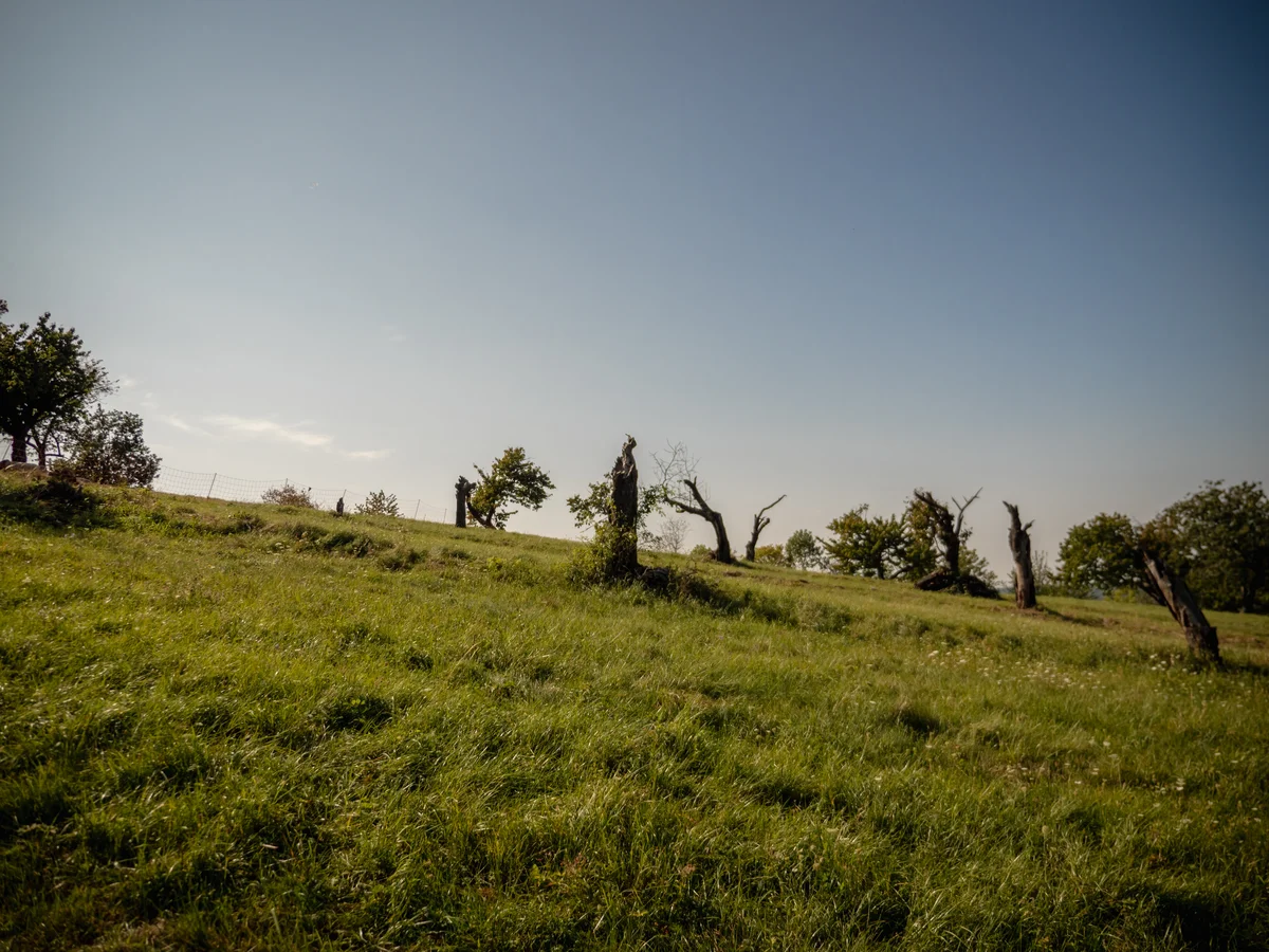 2020 - Září - Vyměřování - 35