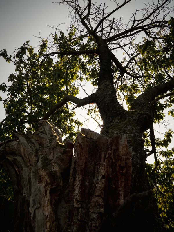 2020 - Září - Vyměřování - 40