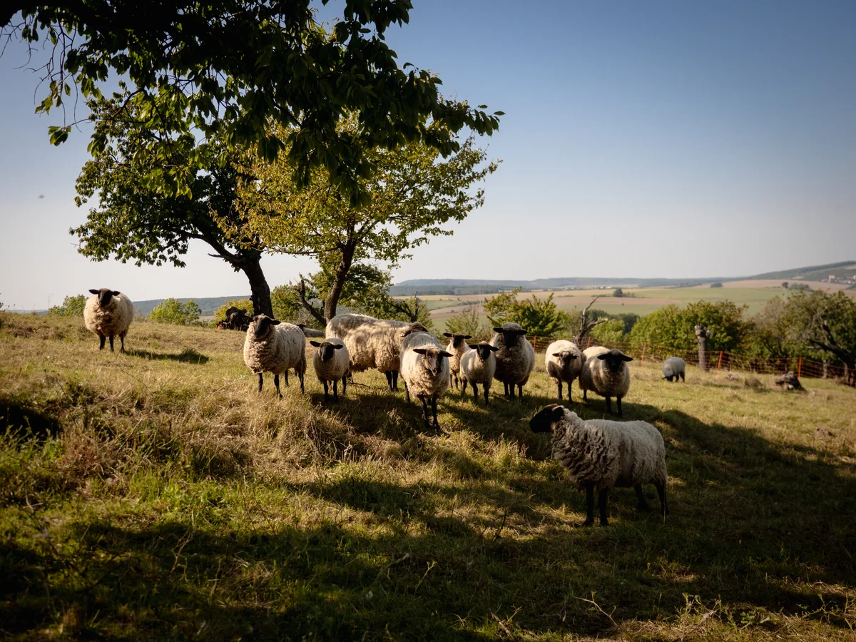 2020 - Září - Vyměřování - 44