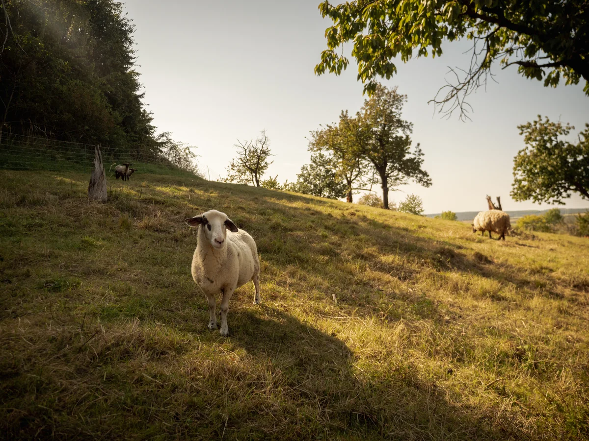 2020 - Září - Vyměřování - 45