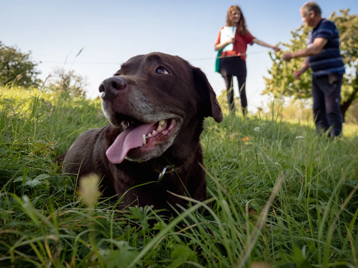 2020 - Září - Vyměřování - 49