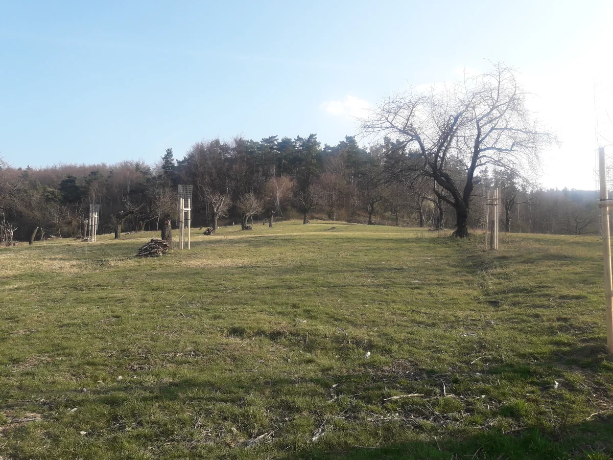 2020 - Celkový přehled - 2