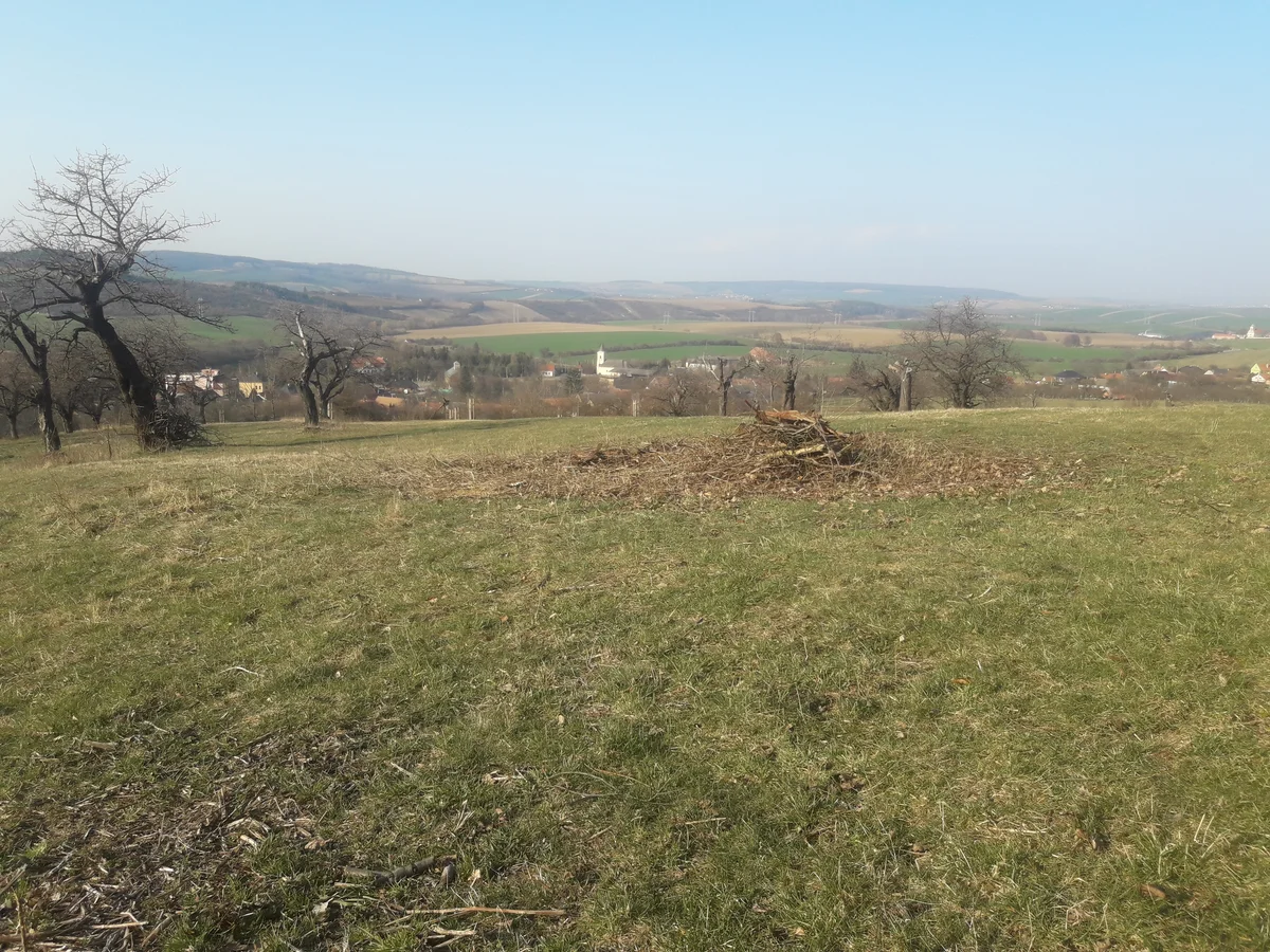 2020 - Celkový přehled - 8