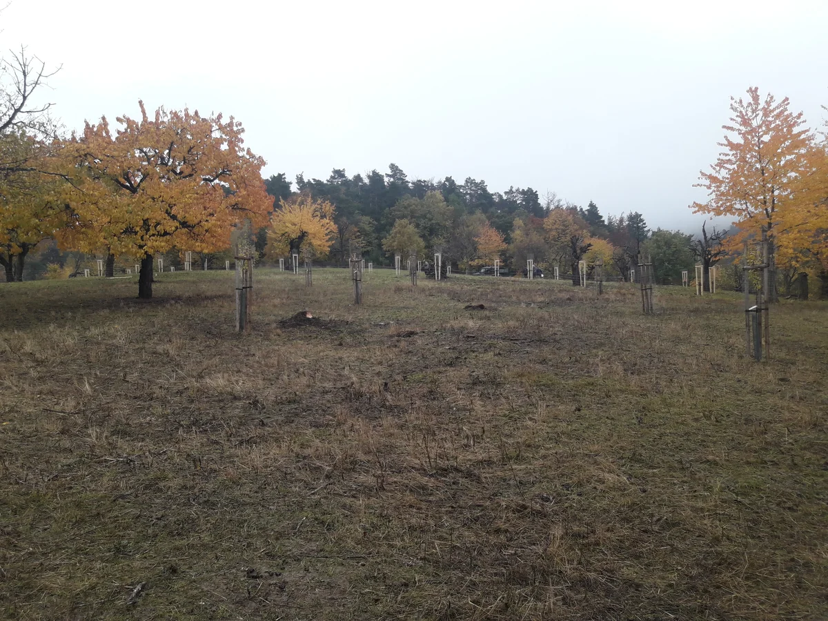 2020 - Celkový přehled - 13