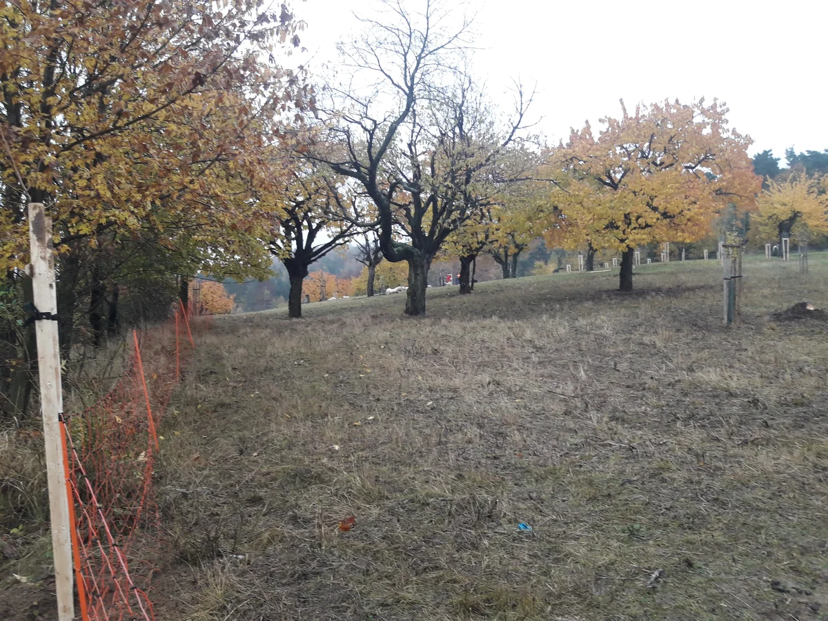 2020 - Celkový přehled - 14